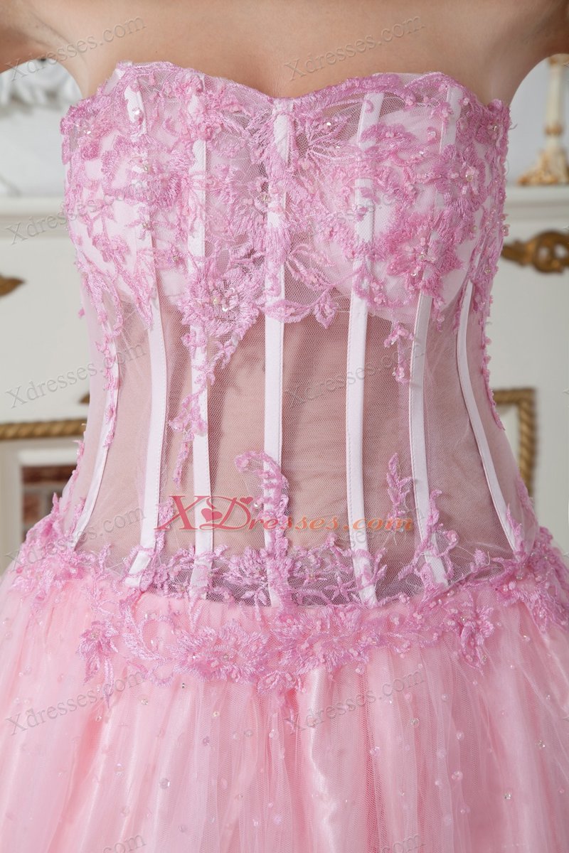 Baby Pink A-line Sweetheart Brush Train Tulle Appliques Prom Dress