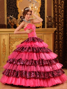 Beautiful Ball Gown Sweetheart Floor-length Organza and Zebra Beading Quinceanera Dress