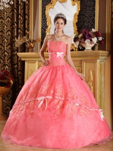Watermelon Ball Gown Strapless Appliques Organza Quinceanera Dress