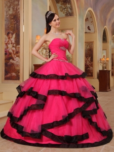 Hot pink Ball Gown Strapless Floor-length Organza Appliques Quinceanera Dress