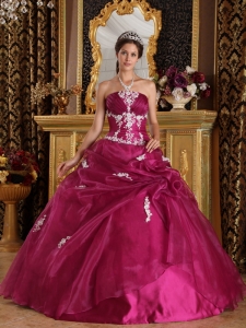 Fuchsia Ball Gown Strapless Floor-length Organza and Satin Appliques Quinceanera Dress