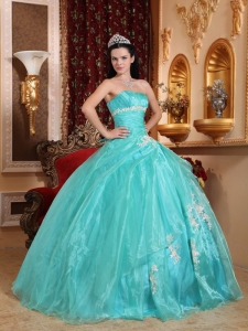 Beautiful Ball Gown Strapless Floor-length Organza Appliques Quinceanera Dress