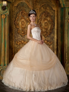 Champagne Ball Gown Strapless Floor-length Appliques Tulle Quinceanera Dress