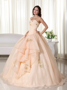 Champagne Ball Gown Strapless Floor-length Organza Embroidery Quinceanera Dress