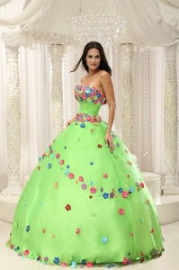 Spring Green Ball Gown 2019 Quninceaera Gown For Custom Made Appliques Decorate Bodice