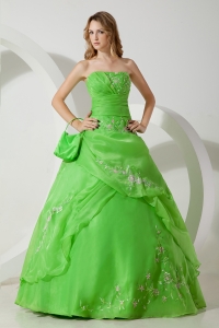 Spring Green Ball Gown Strapless Floor-length Chiffon Embroidery Quinceanera Dress