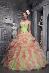 Lovely Ball Gown Strapless Floor-length Taffeta and Organza Hand Flowers Multi-color Quinceanera Dress