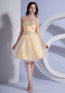Beading Decorate Bodice A-line Light Yellow Taffeta and Organza 2019 Prom Dress