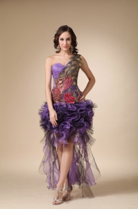 Purple Column One Shoulder High-low Satin and Organza Appliques Homecoming Dress