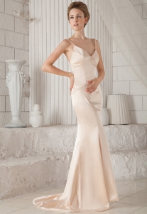 Elegant Sheath / Column Spaghetti Straps Brush Train Elastic Woven Satin Prom Dress