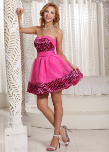 Stylish Zebra A-line Mini-length 2019 Homecoming Cocktail Dress With Hot Pink Organza