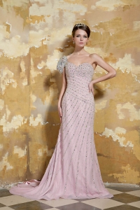 Pink Column One Shoulder Brush Train Chiffon Beading Celebrity Evening Dresses
