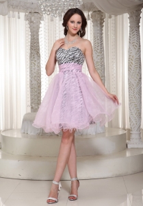 Make You Own 2019 Prom Homecoming Dress With Sweetheart