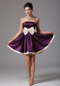Beautiful Dark Purple Strapless Graduation Holiday Dress With Sash Mini-length