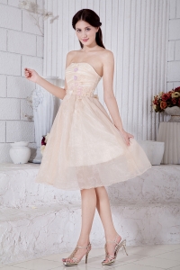 Champagne A-line / Princess Strapless Knee-length Organza Appliques Graduation Homecoming