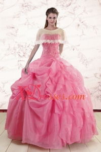 Pretty Ball Gown Quinceanera Dresses with Beading and Pick Ups