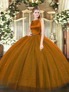 Clearance Brown Ball Gowns Belt Quinceanera Gowns Clasp Handle Tulle Sleeveless Floor Length