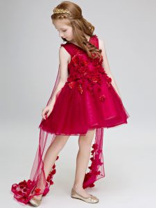 Wine Red Toddler Flower Girl Dress Tulle Watteau Train Sleeveless Hand Made Flower