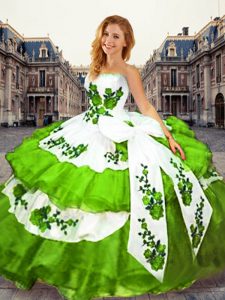 Flare Strapless Sleeveless Lace Up Quinceanera Dresses Organza
