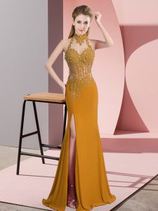 Chiffon Sleeveless Floor Length Prom Dresses and Lace and Appliques