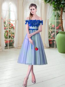 Designer Off The Shoulder Sleeveless Lace Up Blue Tulle