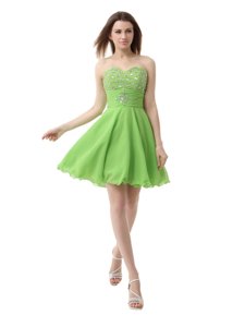 Luxury Sleeveless Knee Length Beading Zipper Club Wear