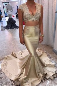 Hot Sale Mermaid V-neck Sleeveless Satin Prom Evening Gown Appliques Court Train Zipper