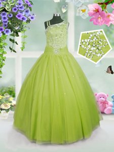 Apple Green Sleeveless Tulle Side Zipper Girls Pageant Dresses for Party and Wedding Party